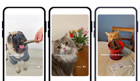 「うちの子」デザインのeギフトを贈ろう