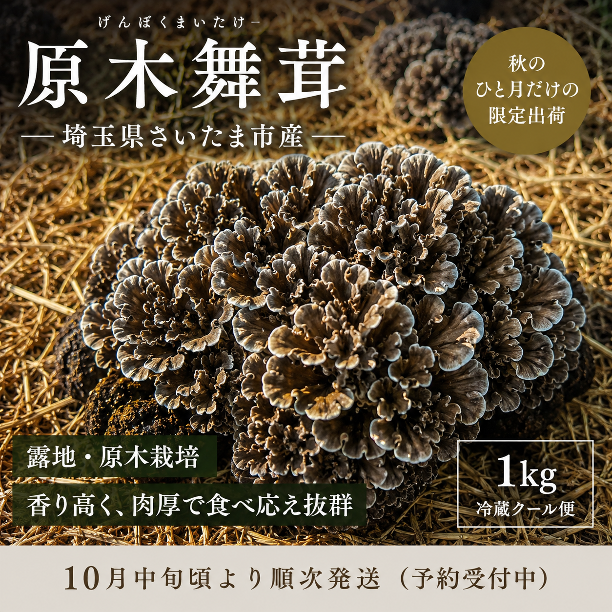 予約】「原木舞茸」埼玉県さいたま市産 露地栽培 1kg 10月中旬より順次