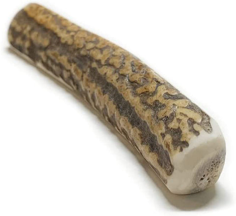 No.2 DEER ANTLER|本州鹿の角