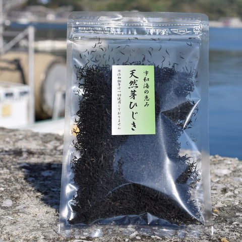 今市水産|愛媛の芽ひじき(2袋セット)