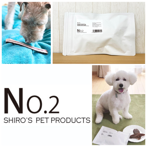 No.2 DEER ANTLER|本州鹿の角