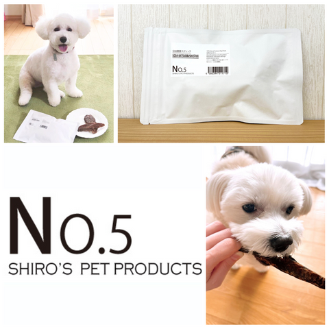 No.5 SODA KATSUOBUSHI STICK|宗田鰹節スティック