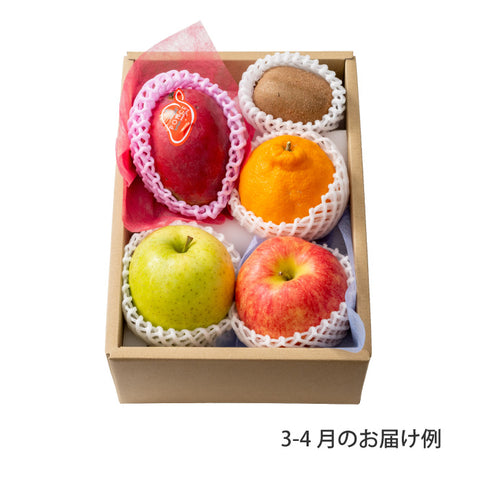 おまかせ旬のフルーツ BOX B