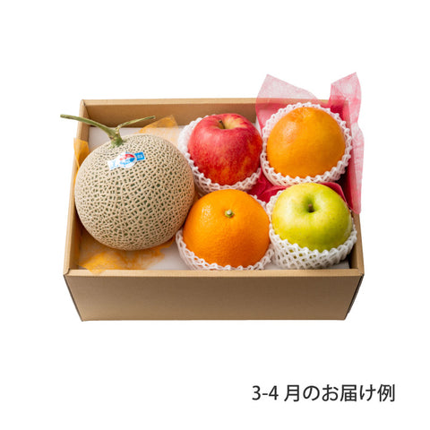 おまかせ旬のフルーツ BOX C