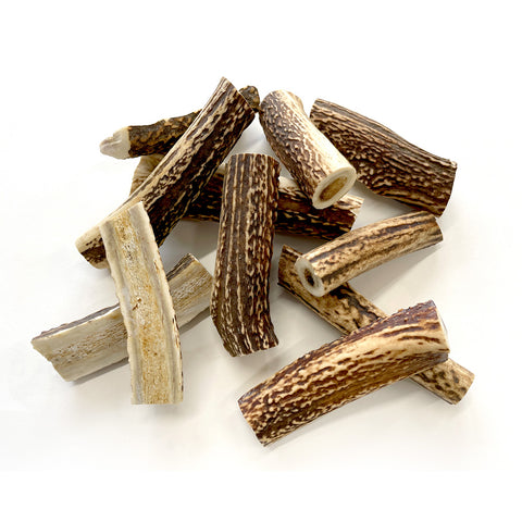 No.2 DEER ANTLER|本州鹿の角