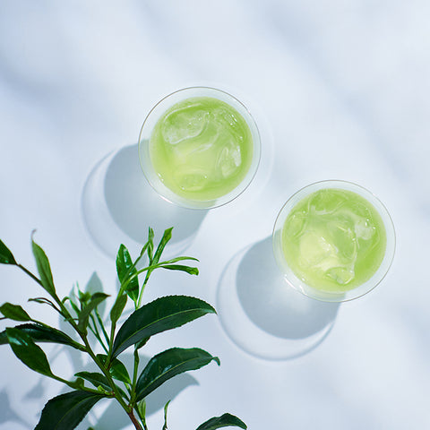 上ル入ル|水出し緑茶(12P)