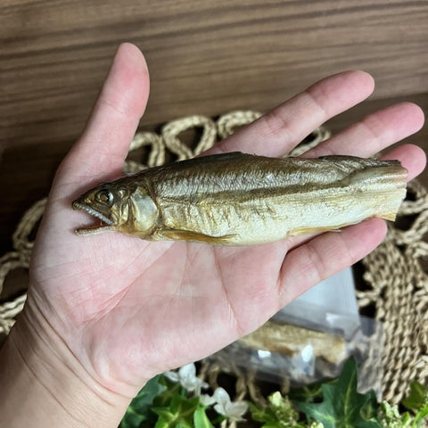 No.4 SMOKED SWEETFISH｜鮎の燻製