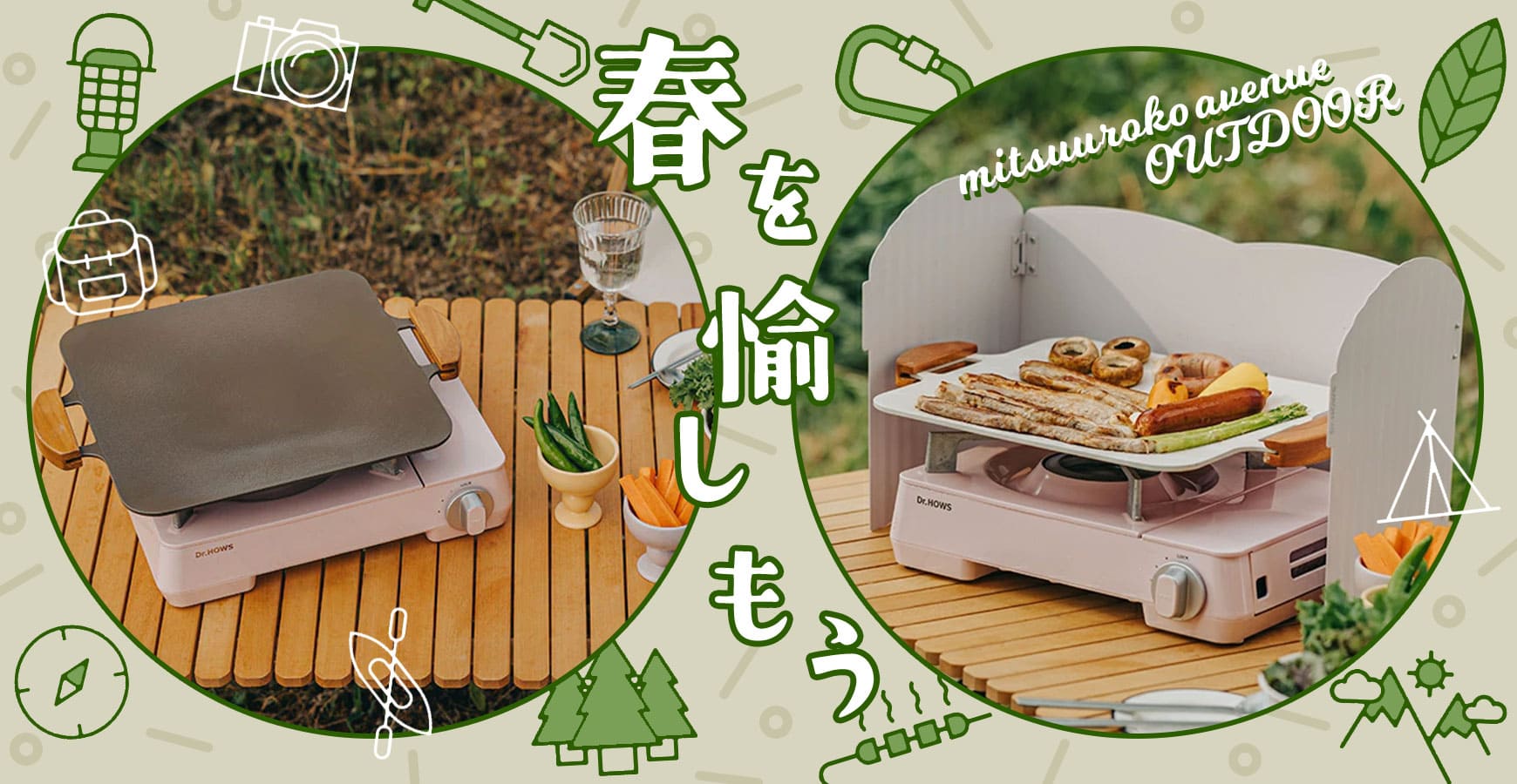 希少色》桃色ミツバツツジ/大株【現品発送】管理70277