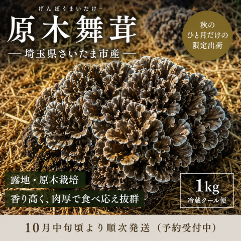【予約】「原木舞茸」埼玉県さいたま市産 露地栽培 1kg 10月中旬より順次発送　※冷蔵