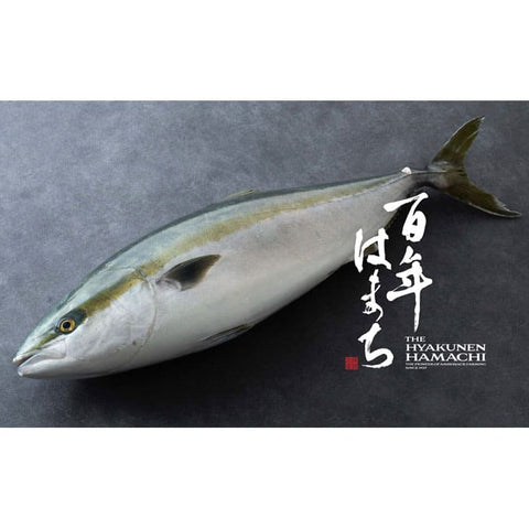 【CRAFT FISH】百年はまち炙りたたき（150g/pc）4個セット