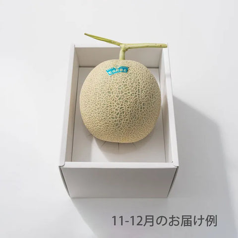 おまかせ旬のフルーツ BOX A