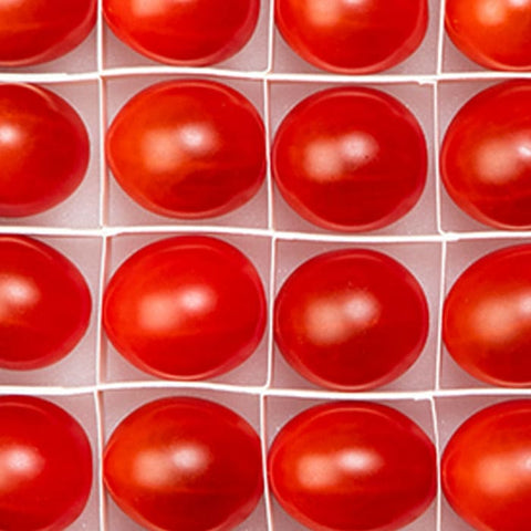 OSMIC FIRST QUEEN トマト（糖度12）＆トマトジュース（糖度15）セット
