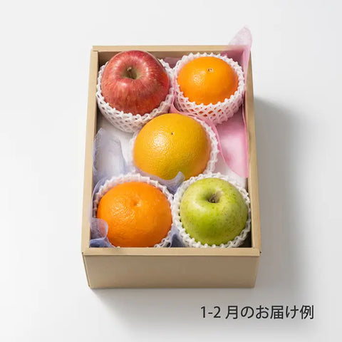 おまかせ旬のフルーツ BOX A