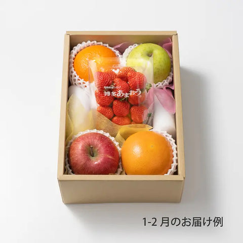 おまかせ旬のフルーツ BOX B