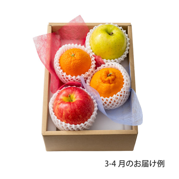 大特価 おまかせ旬のフルーツ BOX A – ミツウロコアベニュー 菓子