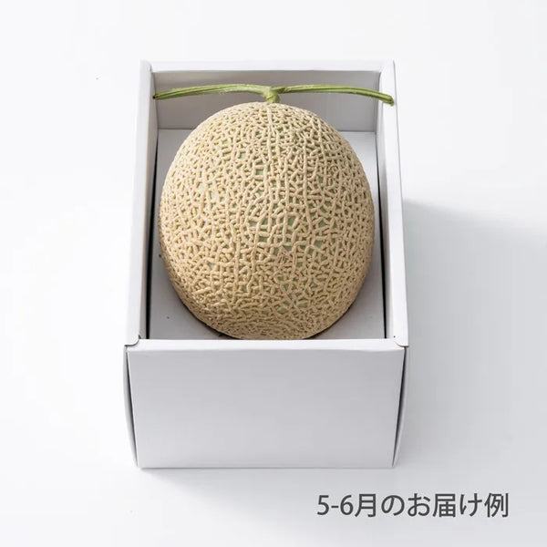 おまかせ旬のフルーツ BOX A – ミツウロコアベニュー