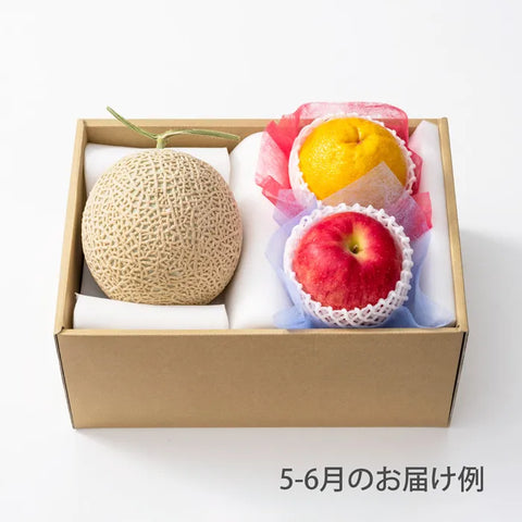 おまかせ旬のフルーツ BOX B