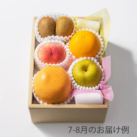おまかせ旬のフルーツ BOX B