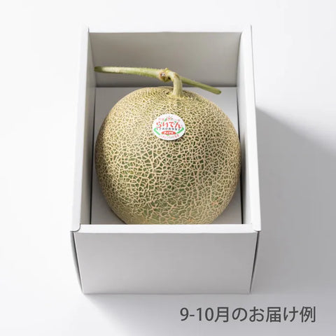 おまかせ旬のフルーツ BOX A