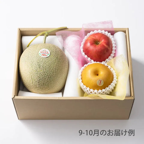 おまかせ旬のフルーツ BOX B