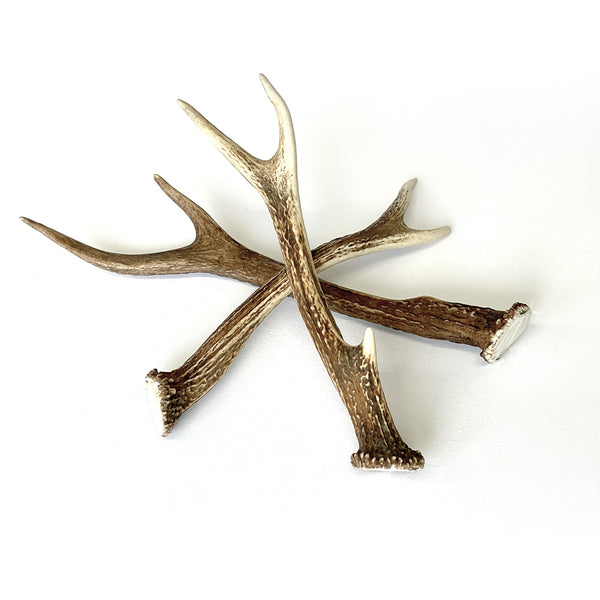 No.2 DEER ANTLER｜本州鹿の角 – ミツウロコアベニュー