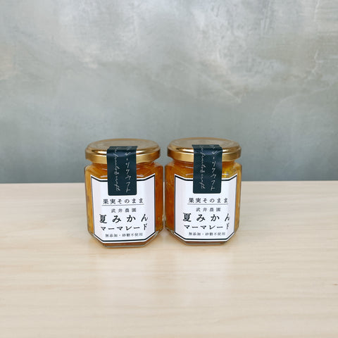 果実そのまま夏みかんマーマレード （100g×2個）