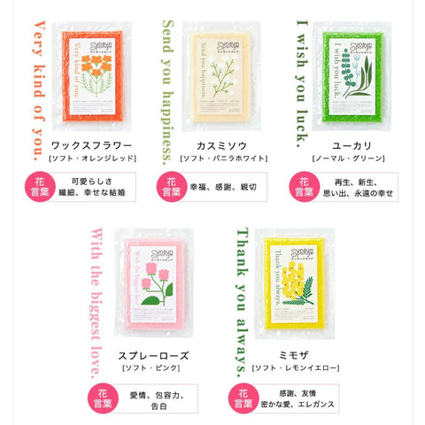 サンサンスポンジ｜フラワーラベル ハピネスカラーセット